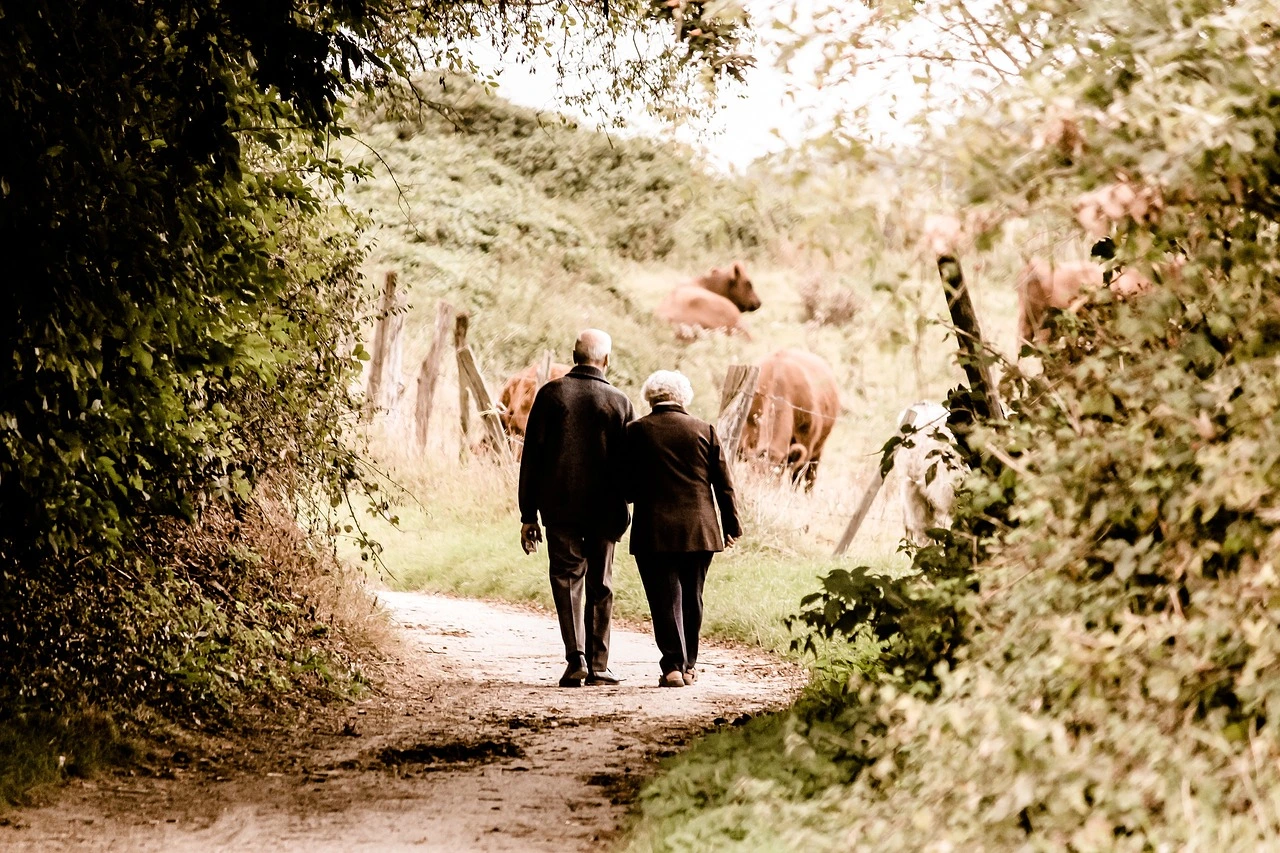 wandelen voor ouderen